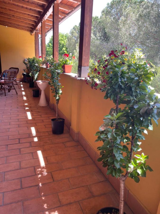La Terrazza Dei Ciliegi Hotel Santa Maria Degli Angeli  Exterior foto